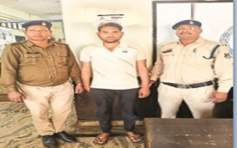 कमलापसंद के मालिक की बहू ने किया सुसाइड, भाई ने लगाया यह आरोप खबरगली Kamalapasand owner's daughter-in-law commits suicide, brother makes this allegation New delhi hindi news khabargali 