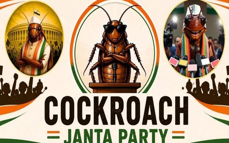 'Secular, Socialist, Democratic, Lazy': 'Cockroach Janata Party' dominates social media; learn about this new youth trend