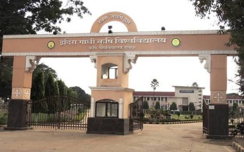 Exams for the leaked papers have commenced at IGKV; the examinations for three subjects had previously been cancelled. raipur chhattisgarh hindi news khabargali 