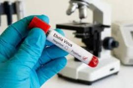  Ebola virus kills 220, DGCA issues new guidelines, Chhattisgarh on high alert new delhi hindi news khabargali 