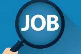 Job fair organized in Raipur on September 2, 2026; recruitment for 877 positions by 8 private sector companies latest News Hindi news khabargali 
