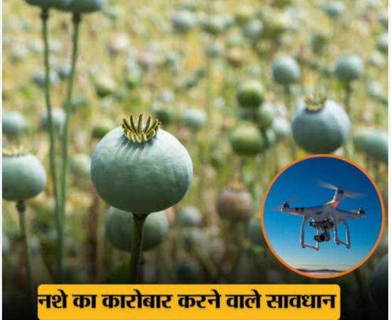 'Surgical Strike' via Drones: Administration Takes Major Action Against Opium Cultivation in Raigarh; Multiple Sites Destroyed Within 72 Hours. The 'Illicit Trade' of Opium Under the Guise of Vegetable Farming: Following Durg, Balrampur, and Tamnar, Opium Cultivation Racket Busted in Navin Ghatgaon and Mudagaon Lailunga, Chhattisgarh, Khabargali.