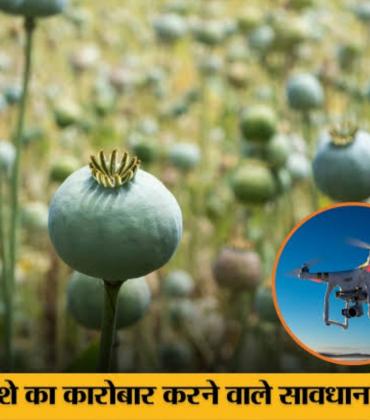 'Surgical Strike' via Drones: Administration Takes Major Action Against Opium Cultivation in Raigarh; Multiple Sites Destroyed Within 72 Hours. The 'Illicit Trade' of Opium Under the Guise of Vegetable Farming: Following Durg, Balrampur, and Tamnar, Opium Cultivation Racket Busted in Navin Ghatgaon and Mudagaon Lailunga, Chhattisgarh, Khabargali.
