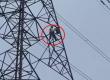  A villager climbed a high-tension electricity tower and accused the company of land grabbing. Raipur chhattisgarh hindi news khabargali 