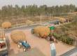  Green fuel to be produced from cow dung and crop stubble; farmers' income to rise; plants being set up in 8 districts. raipur chhattisgarh latest big news khabargali 