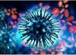  Two new swine flu cases detected in Durg; Health Department on alert. chhattisgarh news hindi news khabargali 