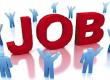 There will be recruitment for 1360 posts in the Cooperative Department, most posts in Raipur-Bilaspur. raipur hindi news khabargali 