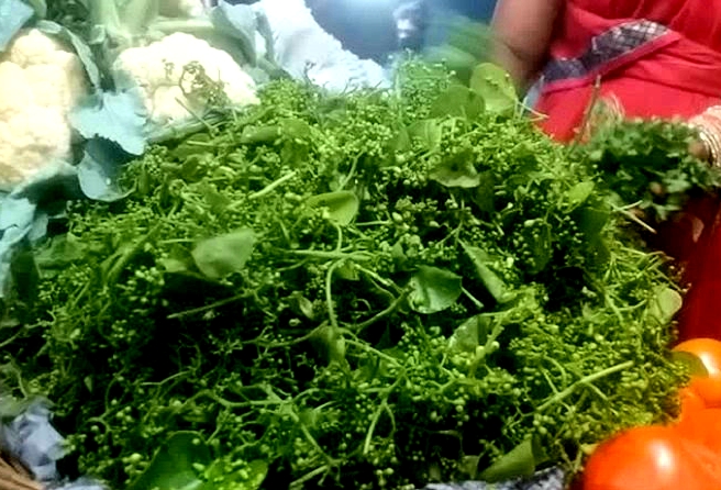 Bohar-bhaji-khabargali