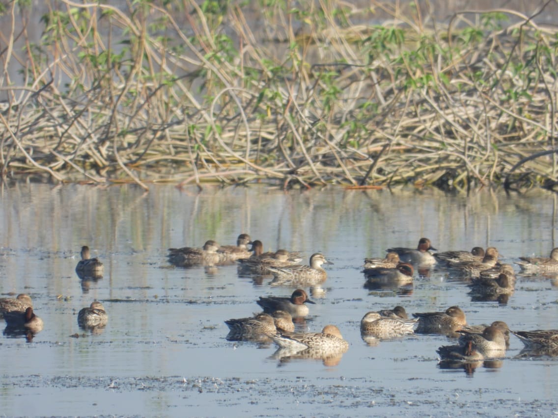 This image has been removed. For security reasons, only images from the local domain are allowed. Image removed.