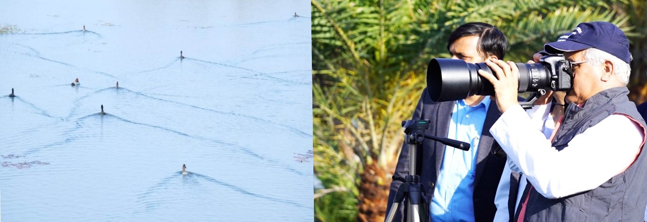 This image has been removed. For security reasons, only images from the local domain are allowed. Image removed.