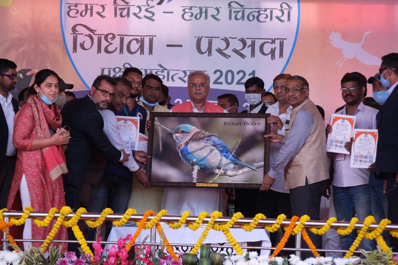 This image has been removed. For security reasons, only images from the local domain are allowed. Image removed.