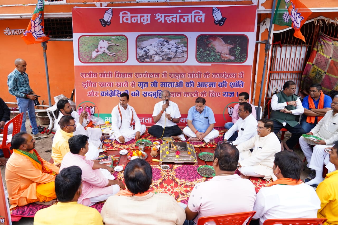 Cow slaughter, cow progeny killed, cows died after eating stale food, BJP, Congress in Tuta of Atal Nagar Nava Raipur, Rajiv Yuva Mitan Sammelan, Sadbuddhi Yagya, Brijmohan Agarwal, Sunil Soni, Chhattisgarh, News,khabargali