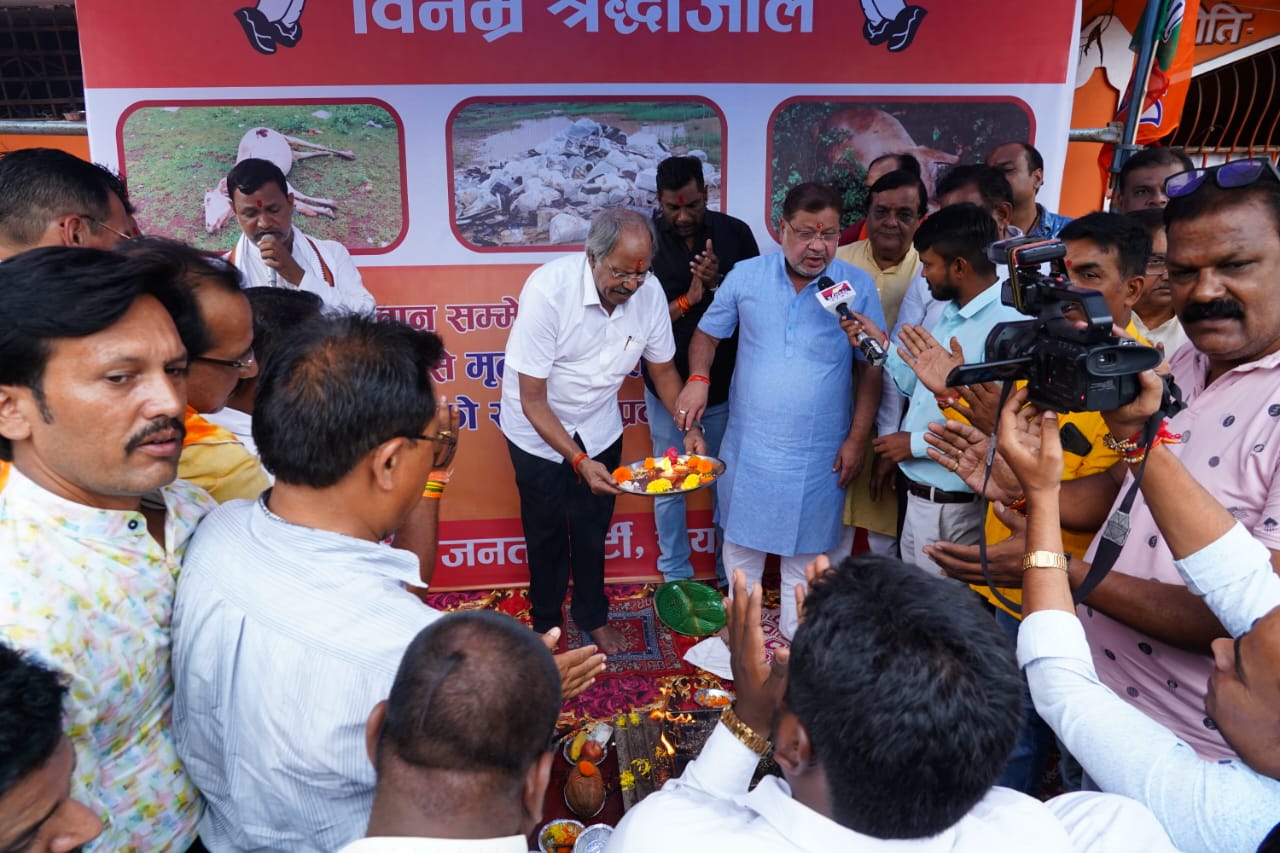 Cow slaughter, cow progeny killed, cows died after eating stale food, BJP, Congress in Tuta of Atal Nagar Nava Raipur, Rajiv Yuva Mitan Sammelan, Sadbuddhi Yagya, Brijmohan Agarwal, Sunil Soni, Chhattisgarh, News,khabargali