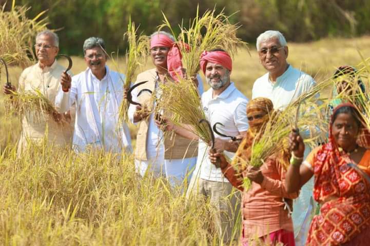 MP Rahul Gandhi's public meeting in Rajnandgaon, announcement, landless laborers will get Rs 10,000 annually, amount of health insurance scheme will be increased from Rs 5 lakh to Rs 10 lakh, Assembly Elections, Chhattisgarh, Khabargali