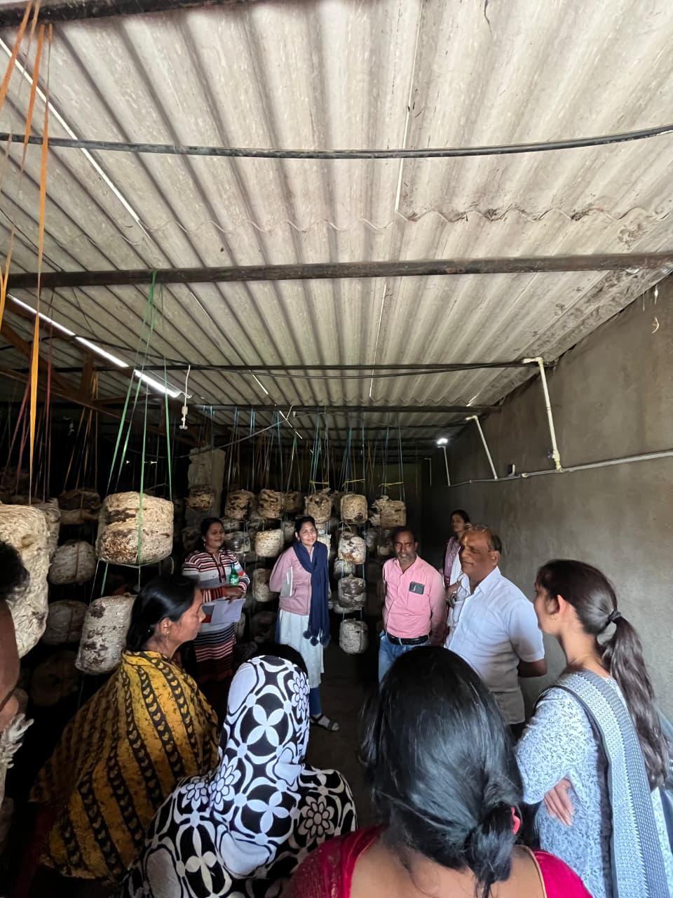 Mushroom cultivation provides a new direction for villagers – Adani Foundation initiative. Exposure visit held in Sivni village, 18 beneficiaries participated. Adani Foundation to support 100 women this year as well. Raigarh, Chhattisgarh, Khabargali.
