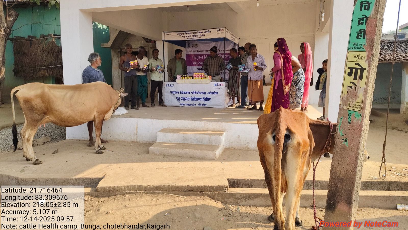 Adani Foundation's comprehensive initiative for livestock development in the Pusaur region, including treatment of 2,062 animals, deworming of 2,820, and training of 334 farmers; emphasis on breed improvement and fodder enrichment, Chhattisgarh, Khabargali