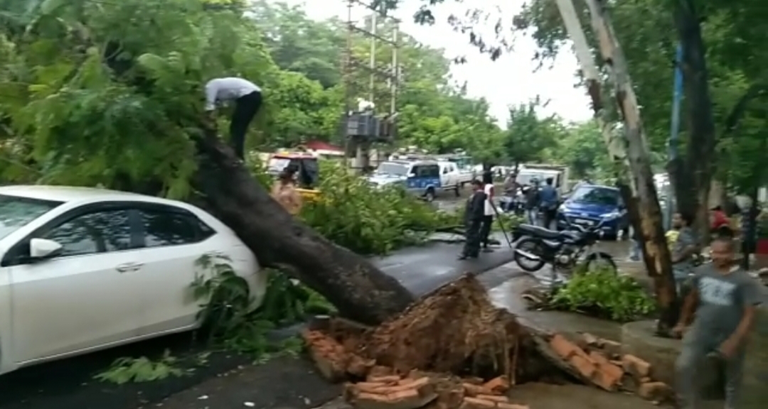 Rajdhani, Raipur, Shankar Nagar main road, Bharat Mata Chowk, thunderstorm, giant tree fell on top of the car, Khabargali