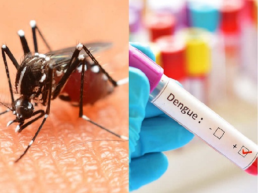 Know the symptoms, treatment and precautions of dengue fever, viral fever or flu like symptoms, Dr. Mahaveer Agarwal, MBBS MD, Medicine Specialist, Tiger or Aedes aegypti infected mosquito bite, Sudden high fever (105 degree) accompanied by chills and shivering, Severe headache, Pain behind the eyes, Severe joint and muscle pain, Fatigue, Nausea, Frequent vomiting Diarrhea, Skin rash, Nausea,khabargali