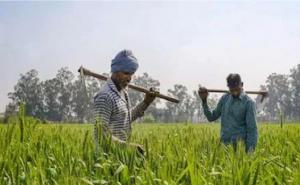 Big change in Pradhan Mantri Kisan Samman Nidhi Yojana, now families registered on the same land in Chhattisgarh will get separate benefits of Rs 6000.cg hindi News latest news khabargali 