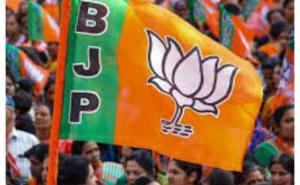 Bihar Assembly Elections: BJP releases first list of candidates hindi News latest News Chhattisgarh News khabargali 