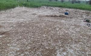 Heavy rain and hailstorms in Chhattisgarh raipur chhattisgarh hindi news khabargali 