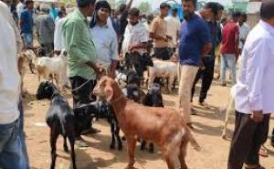 Bakrid alert: Ban on open-air sacrifice, action to be taken against DJs raipur chhattisgarh latest news khabargali  
