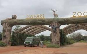  Visiting Nandanvan Zoo and Jungle Safari has become more expensive for tourists, with ticket prices increasing. raipur chhattisgarh hindi news khabargali 