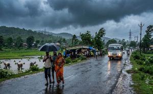 Monsoon to intensify in Chhattisgarh; alert issued for rain and lightning over the next 7 days. Hindi news latest Hindi news khabargali 