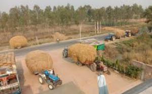  Green fuel to be produced from cow dung and crop stubble; farmers' income to rise; plants being set up in 8 districts. raipur chhattisgarh latest big news khabargali 