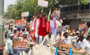 Chhattisgarh faces a fertilizer and seed crisis; Congress leaders surround the Collectorate; Congress workers and farmers arrive with bullock carts. bilaspur hindi news khabargali 