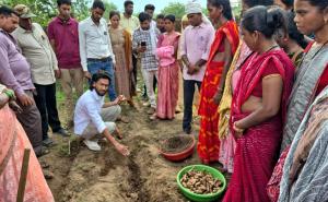 Dhamtari set to become a new hub for turmeric production; 250 farmers have adopted scientific farming methods. raipur hindi news latest news khabargali (85006)