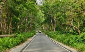 The forest will remain closed to tourists for three months starting today; entry will resume on October 2. raipur chhattisgarh hindi news khabargali 