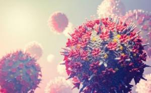 Havoc caused by Chandipura virus 35 patients test positive, 22 deaths reported so far. Gujrat news hindi news latest news khabargali 