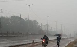  Heavy rainfall across 27 districts of Chhattisgarh; dams filled to the brim; signs of drought in 6 districts. raipur hindi news khabrgali 