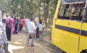  Manendragarh a bus collided with a tree 6 passengers died and 15 injured were taken to the hospital hindi news chhattisgarh news 