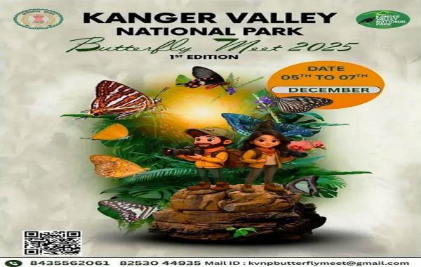  पुणे-बेंगलूरु हाईवे में दर्दनाक हैड्स, बेकाबू ट्रक कई वाहनों से भिड़ा, 7 जलकर मरे खबरगली Tragic accident on Pune-Bengaluru highway, out-of-control truck collides with several vehicles, 7 burnt to deathhindi news big news khabargali 