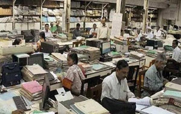  Big news for government employees: option for the scheme must be submitted by July 31. raipur chhattisgarh hindi news khabargali 