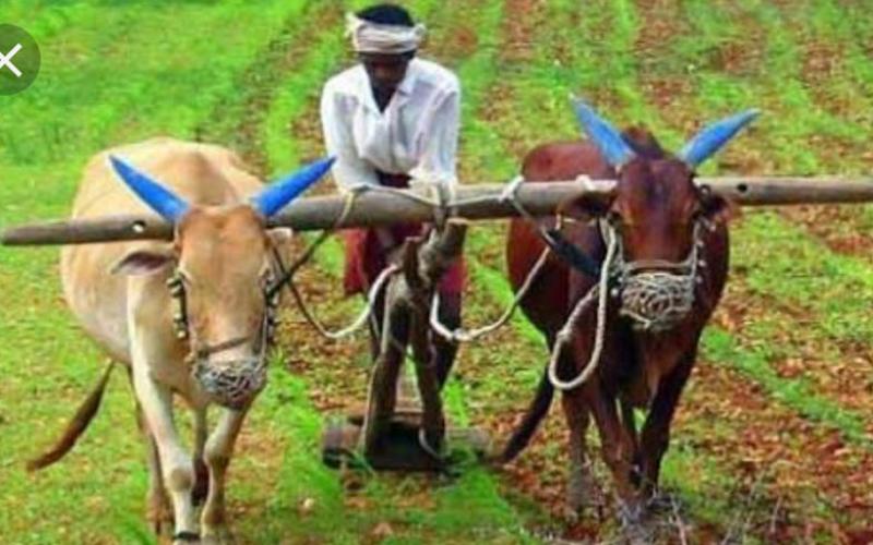 kisan new