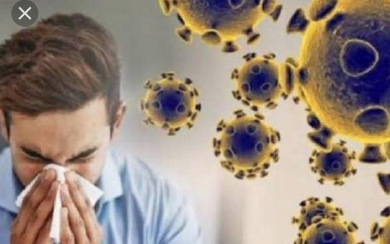 Korona virus