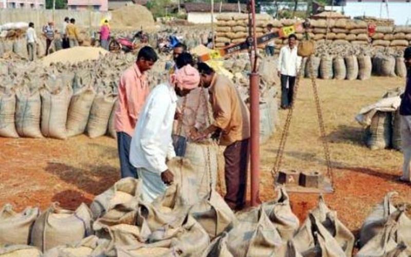 Kharif Marketing Year 2020-21, Paddy Purchased, Chhattisgarh, Mandi, Farmer, Khabargali