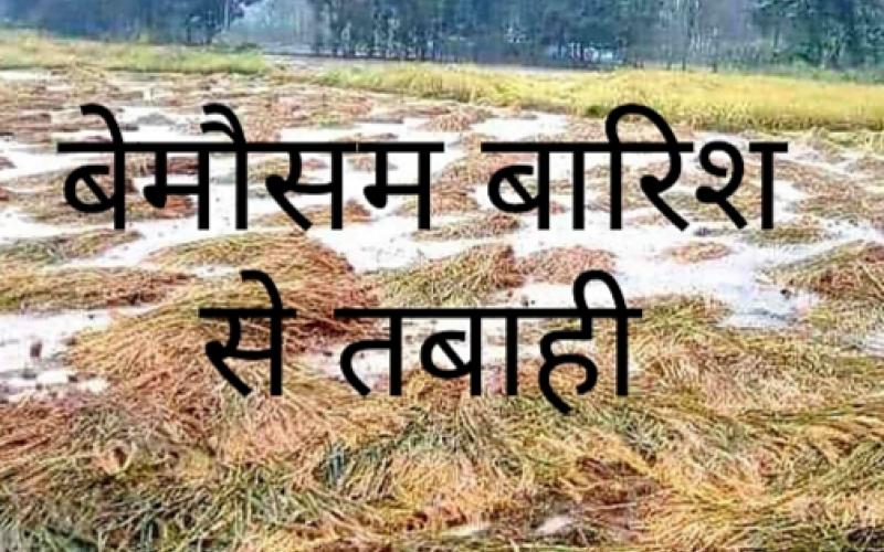 Heavy loss to farmers due to unseasonal rains, Chhattisgarh, crops damaged, Raipur, Gariaband, Dhamtari, Mahasamund, Kanker, Meteorological Department, double whammy on farmers, rain in Karnataka damages five lakh hectares of agricultural crops in the state, Khabargali