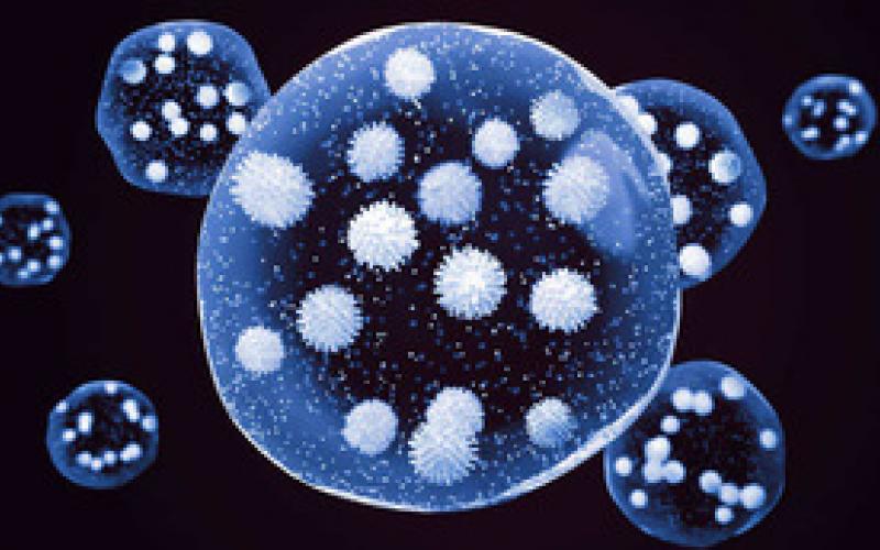 New variants of corona virus, Omicron, brakes on international flights, Union Health Ministry, new guidelines, European countries, Brazil, Bangladesh, Botswana, China, Morris, New Zealand, Zimbabwe, Singapore, Hong Kong, Israel, RTPCR test, WHO,  Genomic surveillance, Modi government, Khabargali