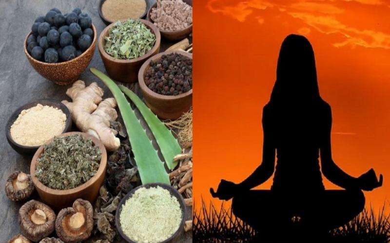 chhattisgarh, ayurveda, yoga, homeopathy, naturopathy, unani medicine bachelor course, apply online, Khabargali