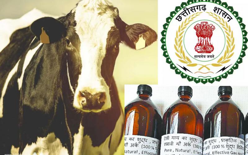 Hareli Tihar, Gauthan will start the purchase of cow urine, income of livestock farmers and promotion of organic farming, Jeevamrut, pest control products, Chhattisgarh, Chief Minister Bhupesh Baghel, Khabargali