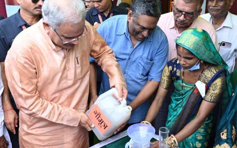 Purchase of cow urine, Gauthan, seller of cow urine, the first festival of Chhattisgarh, Hareli, Khabargali