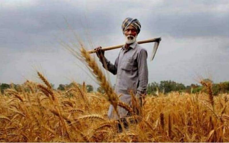 Prime Minister Narendra Modi's central government, a big gift to the farmers of the country, 1.5 percent subvention scheme in interest on short term agriculture loan, Khabargali