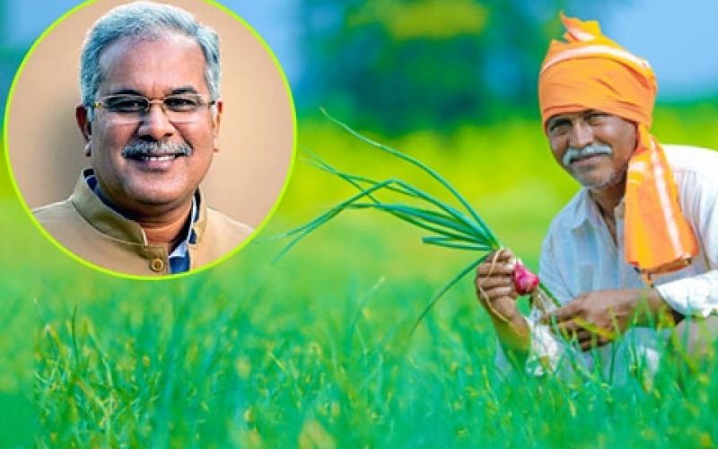 Paddy purchase, support price tur, moong urad, Chhattisgarh government, Chief Minister Bhupesh Baghel's big decision, Khabargali