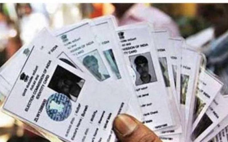 Chief Electoral Officer Office,Assembly Election 2023,Voter List,Chief Electoral Officer Shikha Rajput Tiwari,QR Code,Chhattisgarh,Khabargali