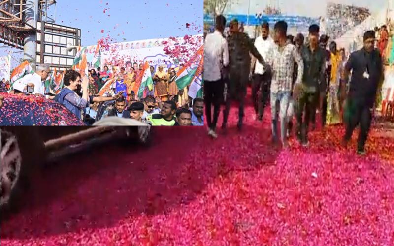 85th National Convention of Congress, Flower Shower, Rose Carpet, Priyanka Gandhi, Mayor Ejaz Dhebar, Raipur, Chhattisgarh, News, khabargali