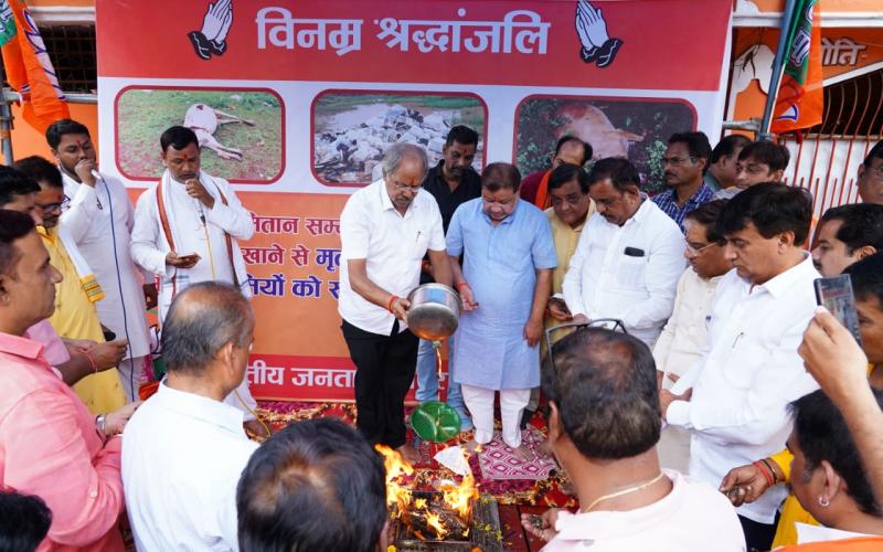 Cow slaughter, cow progeny killed, cows died after eating stale food, BJP, Congress in Tuta of Atal Nagar Nava Raipur, Rajiv Yuva Mitan Sammelan, Sadbuddhi Yagya, Brijmohan Agarwal, Sunil Soni, Chhattisgarh, News,khabargali